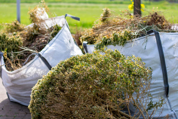 Trusted Coarsegold, CA Junk Removal Experts